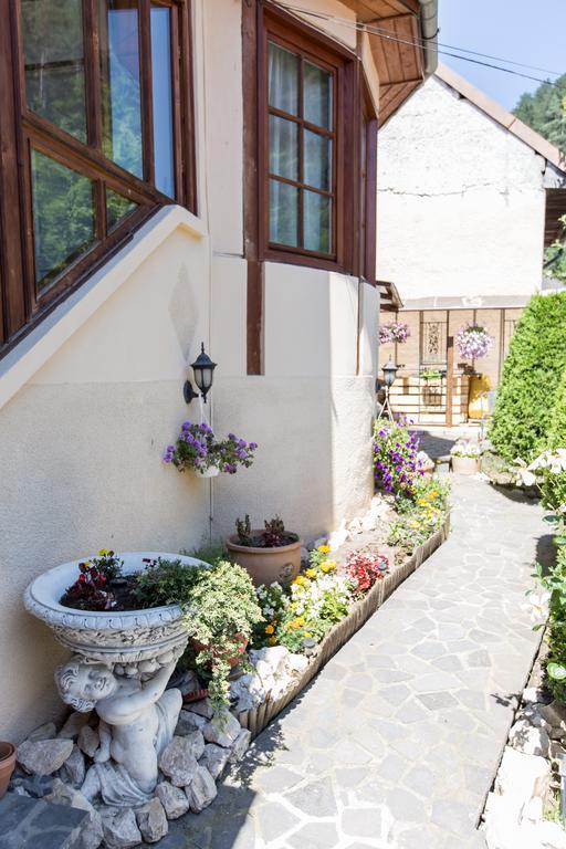 Pensiunea Kristin Brasov Braşov Exterior foto