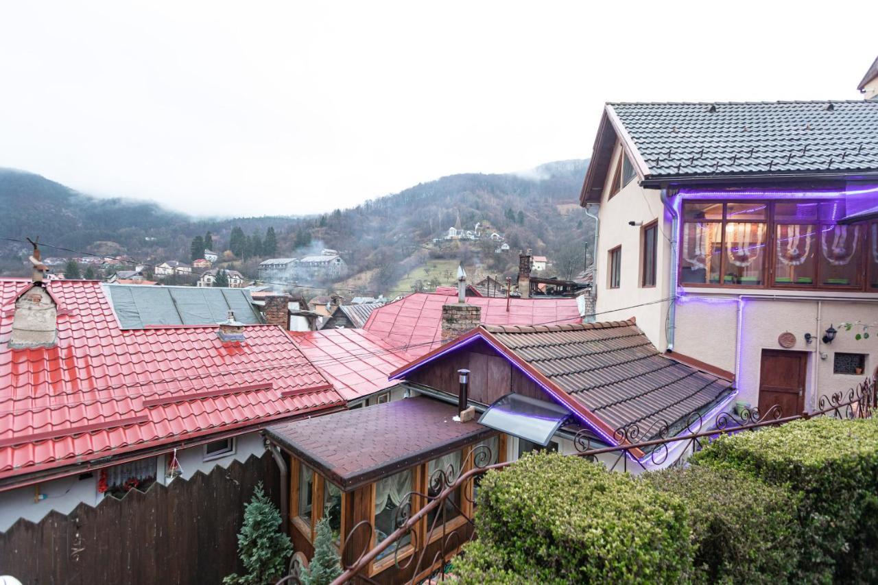 Pensiunea Kristin Brasov Braşov Exterior foto